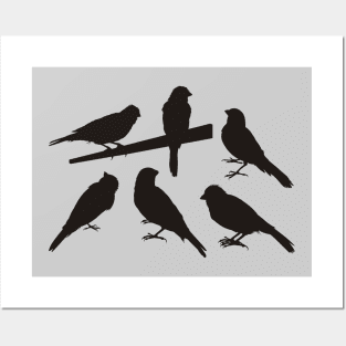 Singing Pet Bird Silhouettes Black Posters and Art